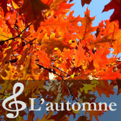 Crèche-Chatou-Crèche-associative-Chatou-Crèche-associative-Le-Jardin-des-Petits-soleils-Chansons-Automne